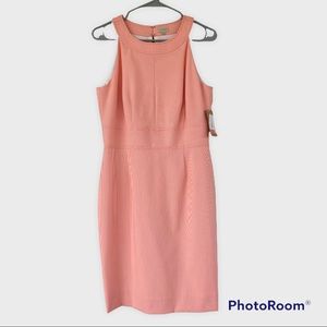 NWT Women's Cremieux Dress Pencil Orange White Pinstripe Size 8 Spandex  Knee